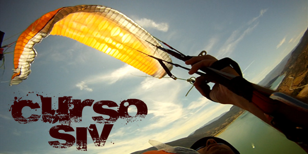 Is a SIV course for me?